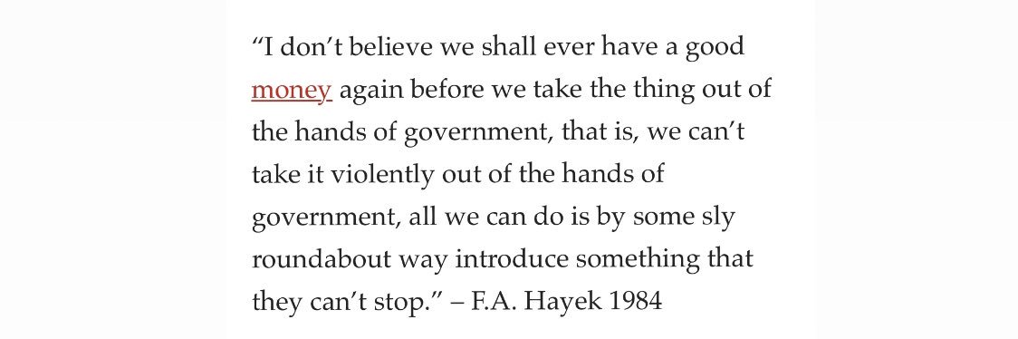 Lisa | go outside, touch grass 🌱 banner