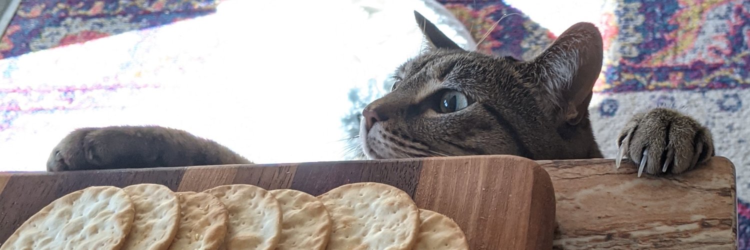 lizpatanders's profile banner image
