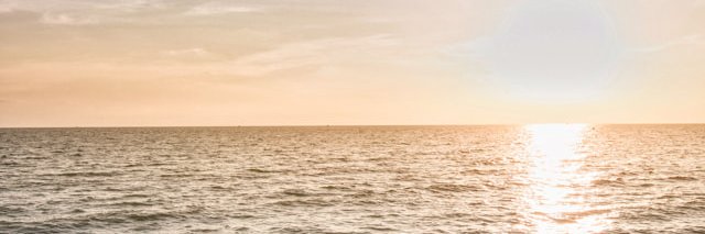 geisel solano banner