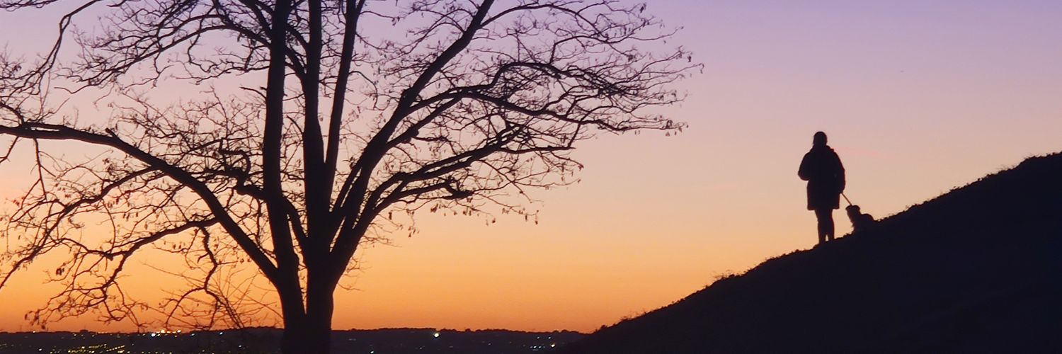 VIVIRAMOS1714's profile banner image