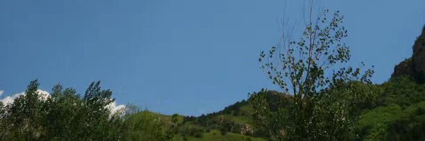 cskun1989 Profile Banner