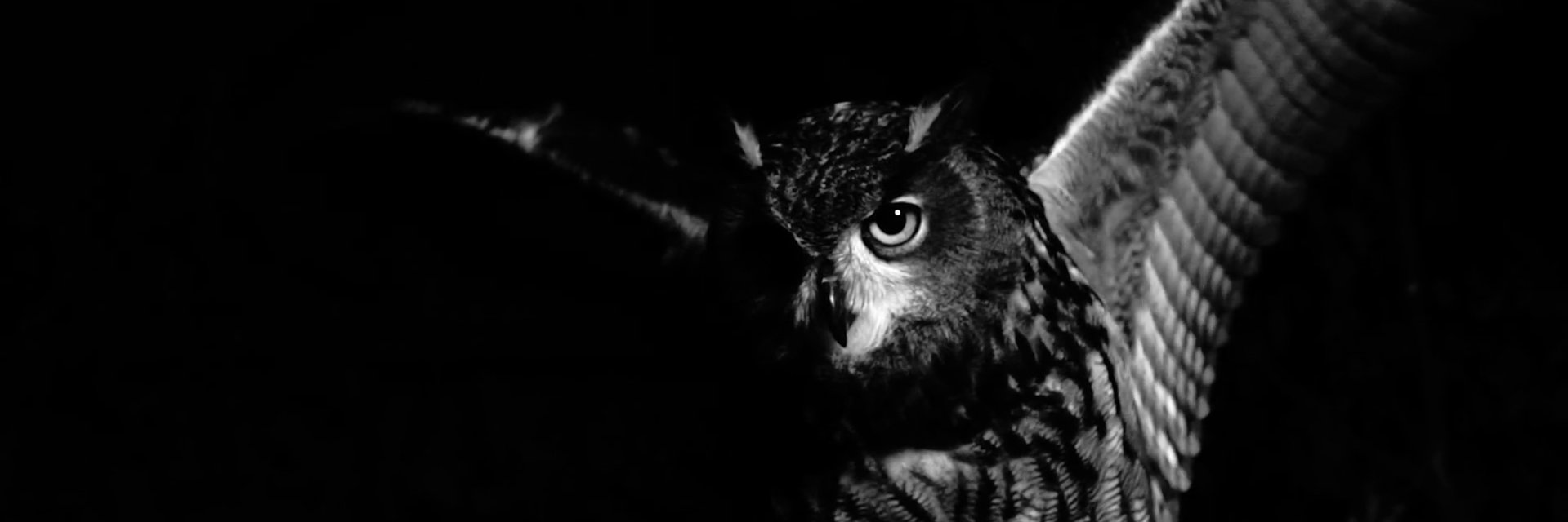 At05_a5's profile banner image
