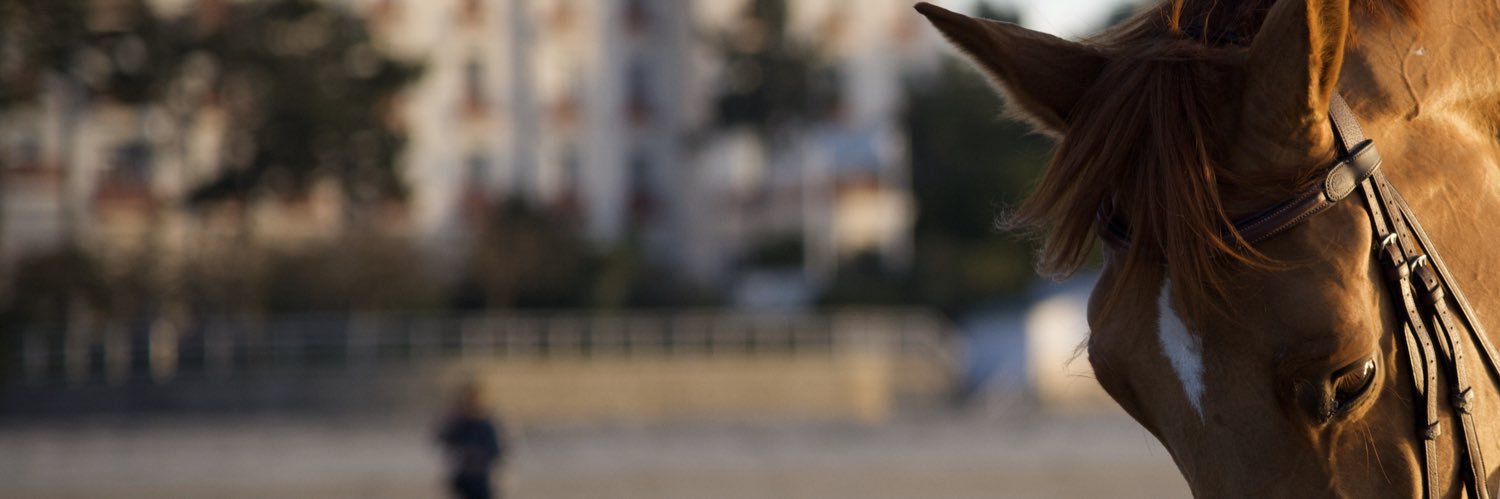 vgtl's profile banner image