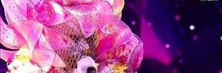 Flowerpink_both's profile banner image