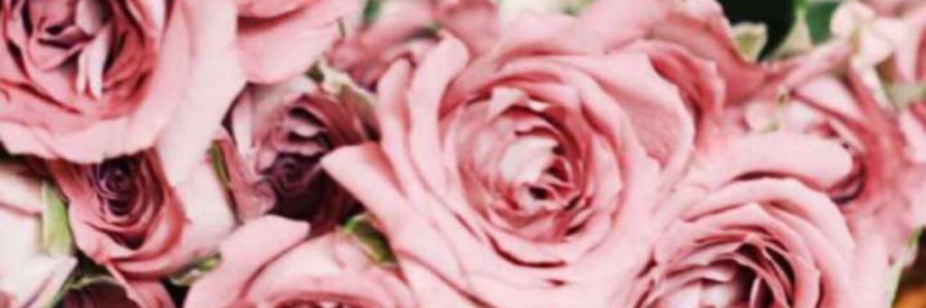 MansiSabah's profile banner image