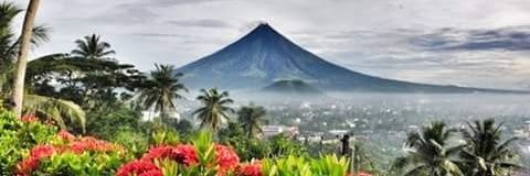RoseOlarte's profile banner image