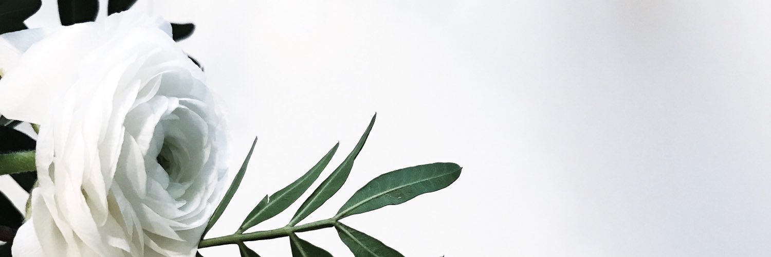 Mytrendbook's profile banner image