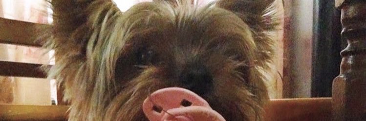 SamBallestero's profile banner image