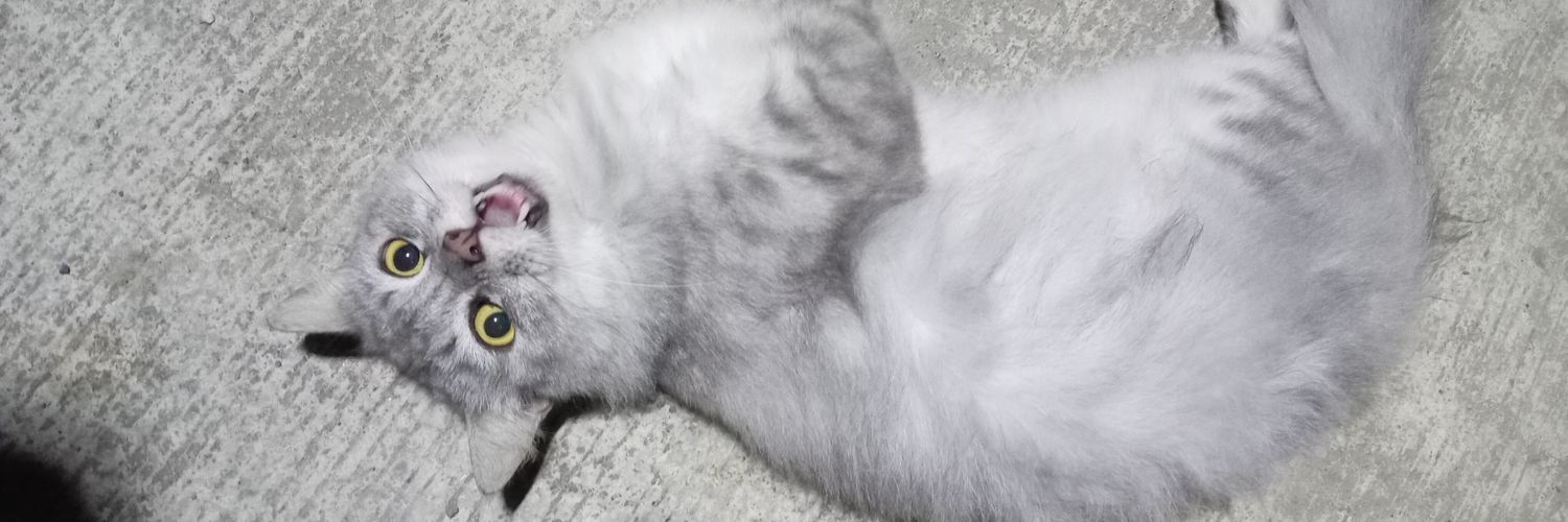 DeeVeeDoodle🌱🍉🔞 COMMS OPEN (1/3) banner
