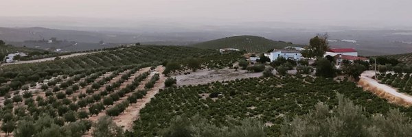 isi_do_ro Profile Banner