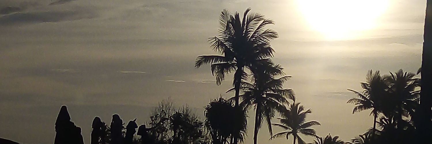 Aki_daus's profile banner image