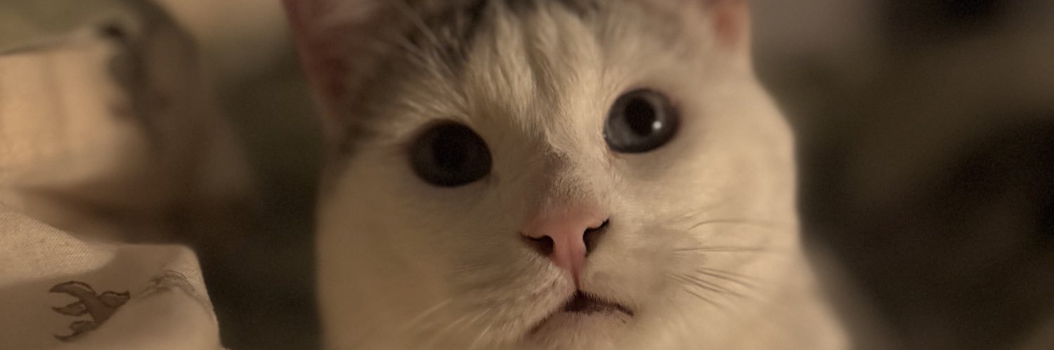 DaniLoopez's profile banner image
