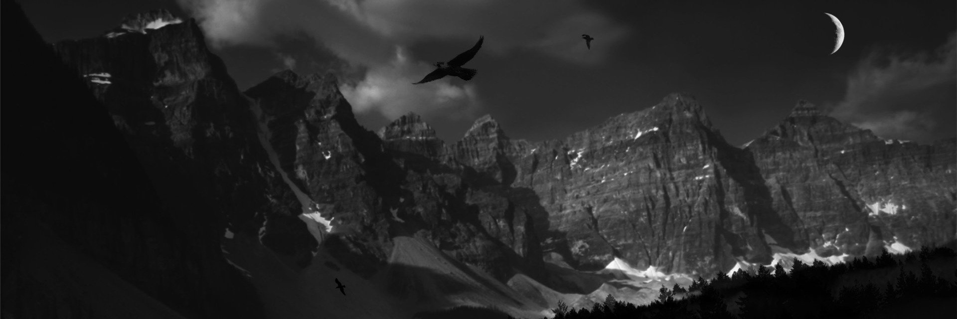 divineinfecttv's profile banner image