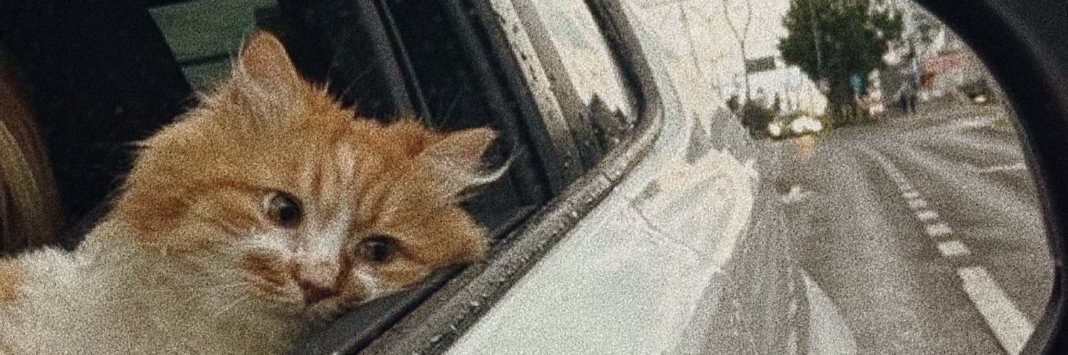 bettercallowl's profile banner image