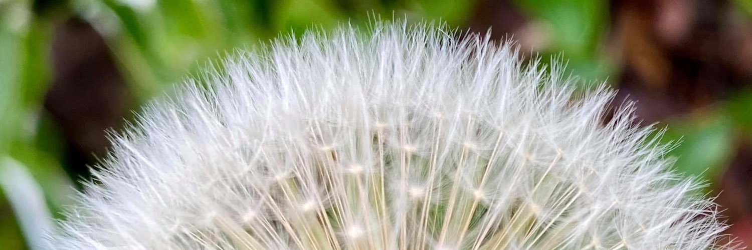 JulzillaSpeaks's profile banner image