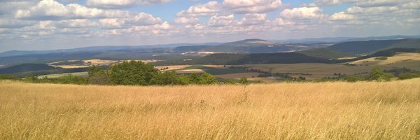 AnneFuchs82 Profile Banner