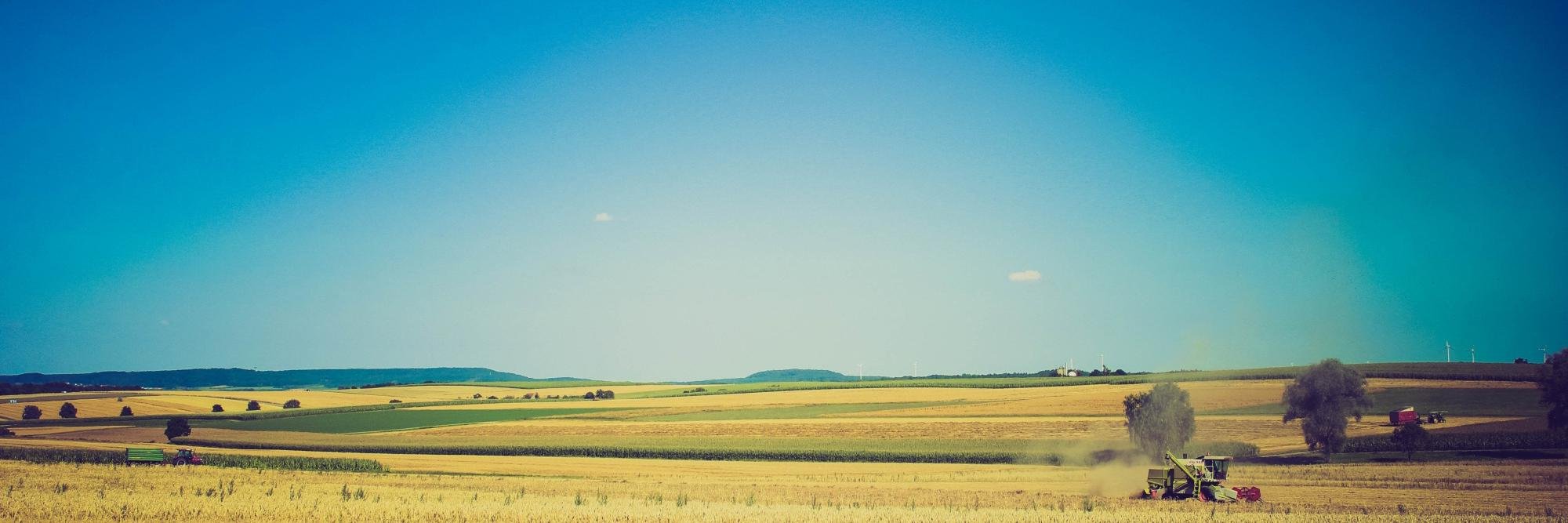 burmassoil's profile banner image