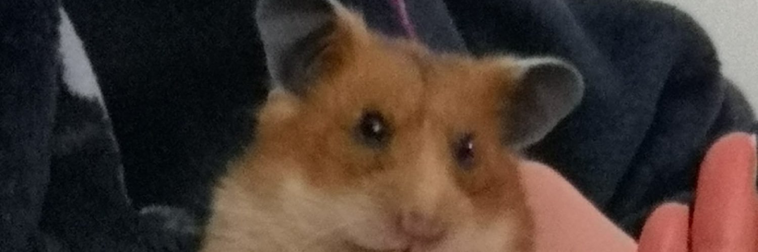 Sara 💚🤍💜 banner