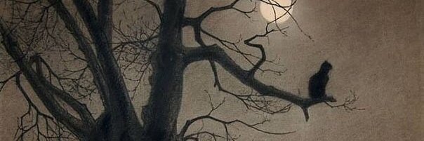 silent__panic's profile banner image