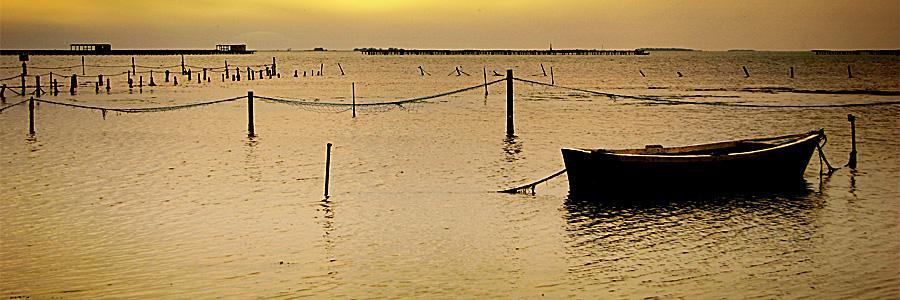 maifero's profile banner image