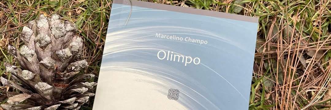 marcechampo's profile banner image