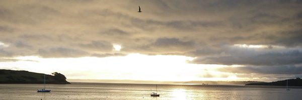 WillowStMawes Profile Banner