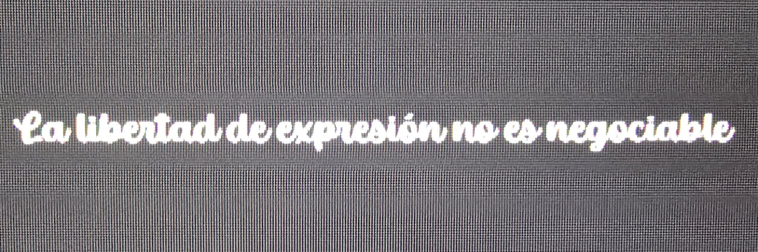 Ignacio del Castillo banner