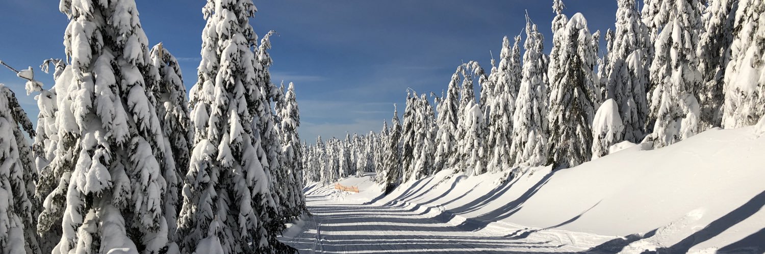 JaneK🌻 🇺🇸 💫🇪🇺🇨🇿🇫🇷🇬🇧 banner