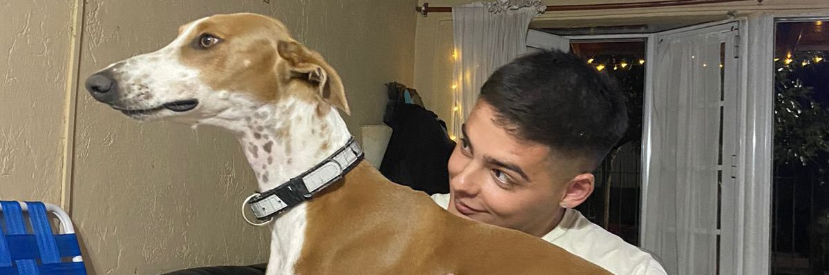 Tibii_4's profile banner image