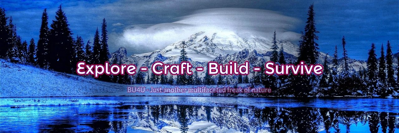 BU4U Gaming banner