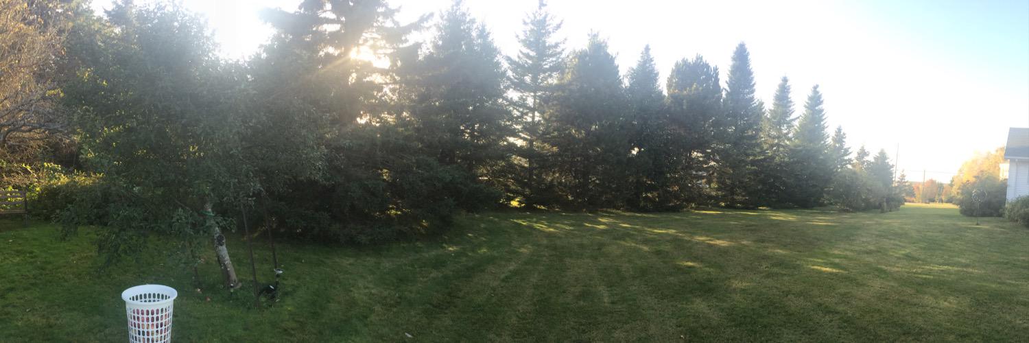 Ace_Boogie718's profile banner image