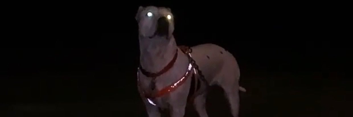 Eduardo André banner