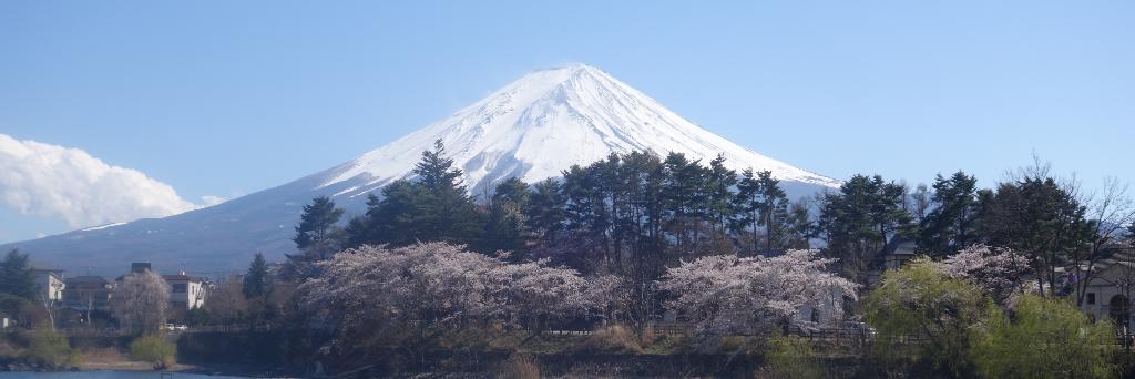 Alexander Wagner banner