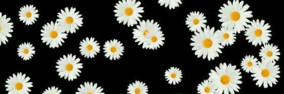 juliarod314's profile banner image