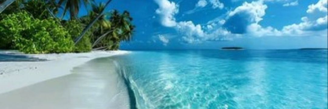 Koum_marin🍋‍🟩🥑🌶️🌵🫰 banner