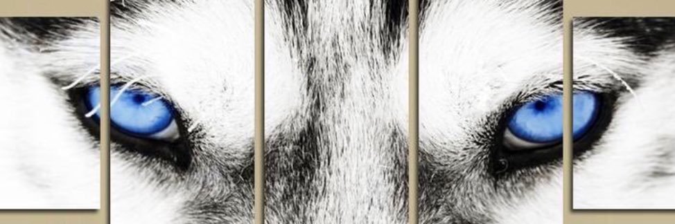 mimme96's profile banner image