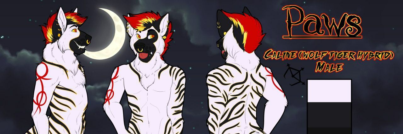 paws_221's profile banner image