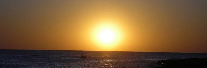 🇬🇧🇪🇺Mackem Mick🇺🇦🏴󠁧󠁢󠁥󠁮󠁧󠁿 banner