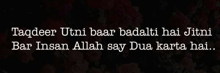 Laraib banner
