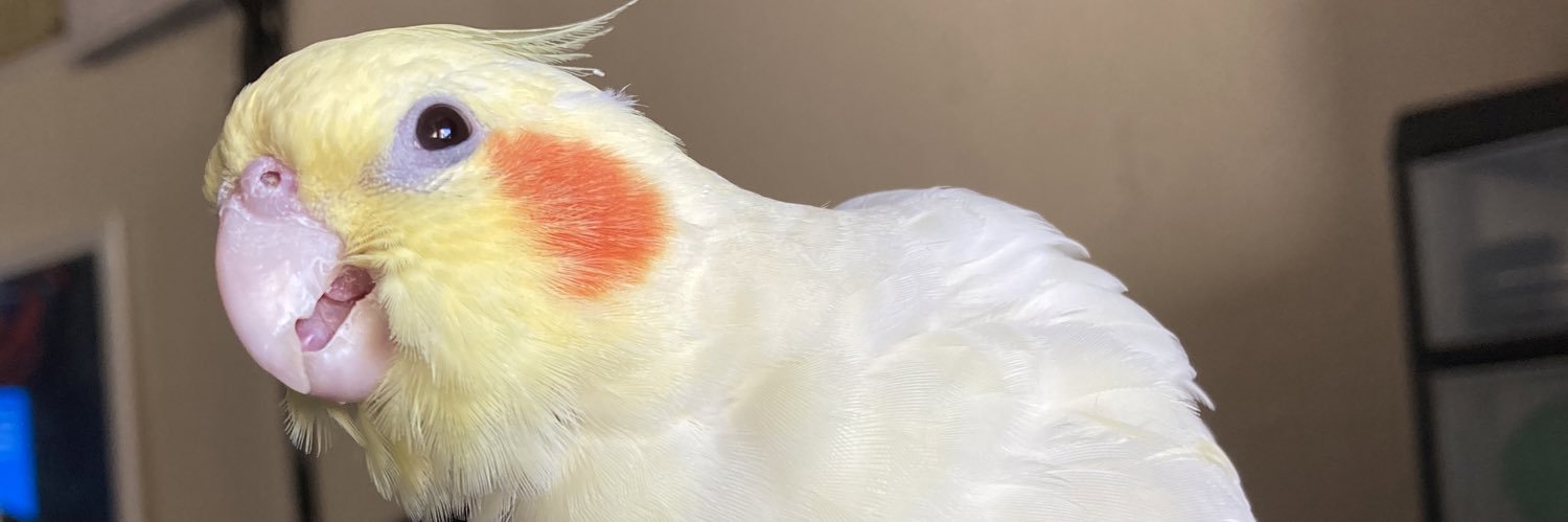 sugartiel's profile banner image