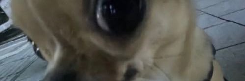 natalie banner