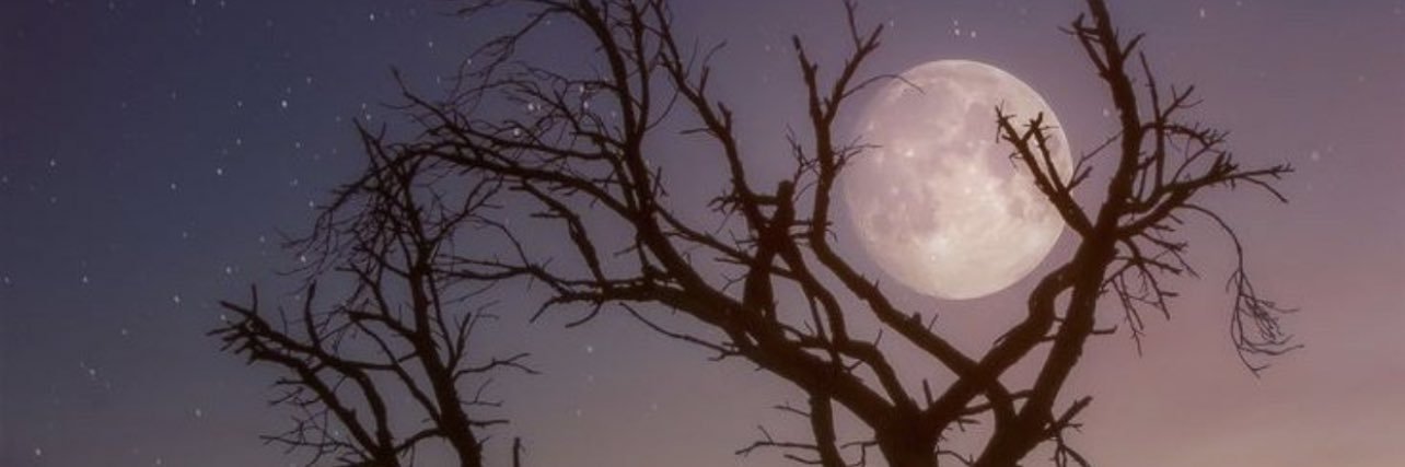 aarrff45's profile banner image