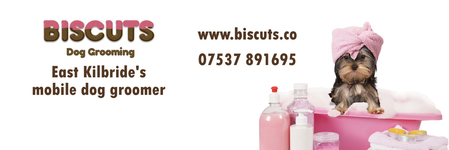 BiscutsDG's profile banner image