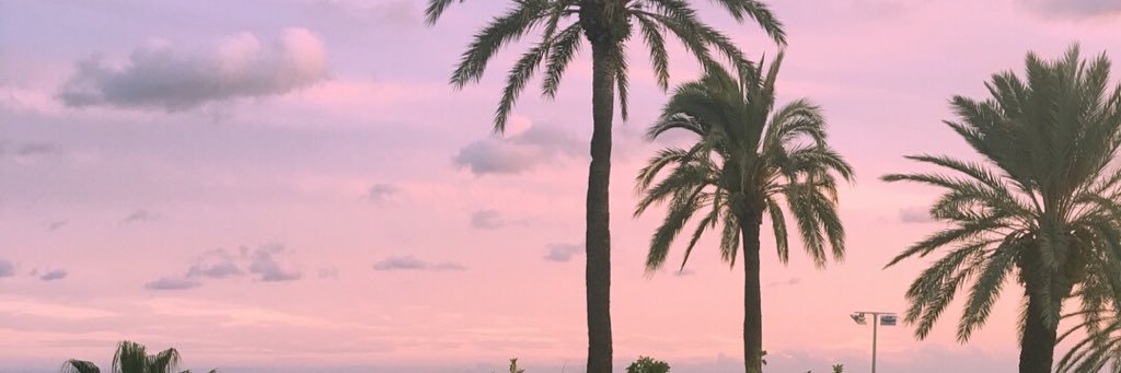 AlexReilly8's profile banner image