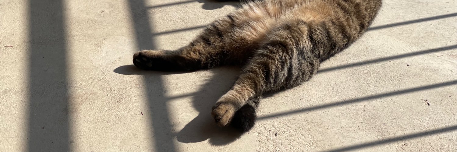 hitachithecat's profile banner image