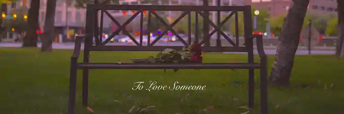 cardinal bloom banner