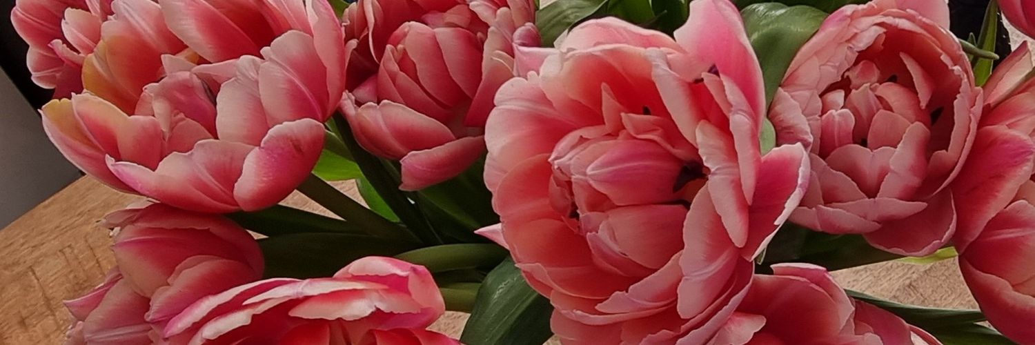 Jolanda banner