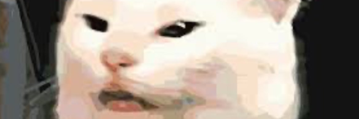 𝐀𝐋𝐁𝐀𝐘 banner