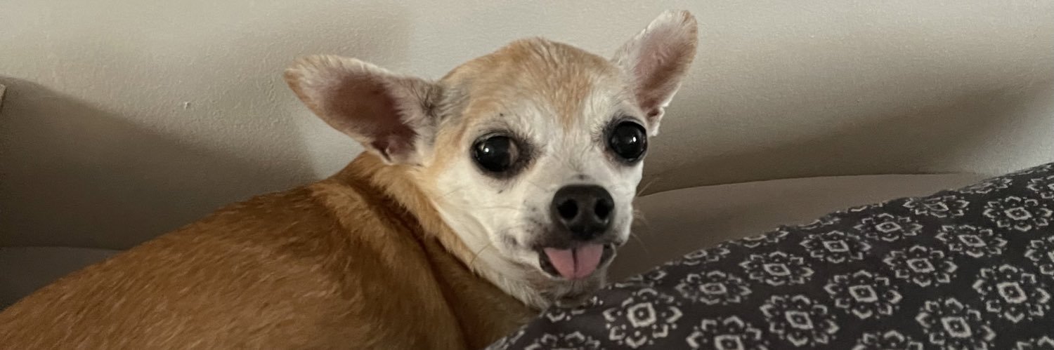 MandaChrystal's profile banner image