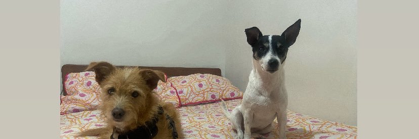 SammyNeva's profile banner image